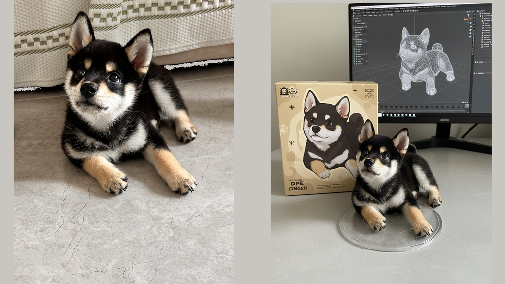 3D Figure